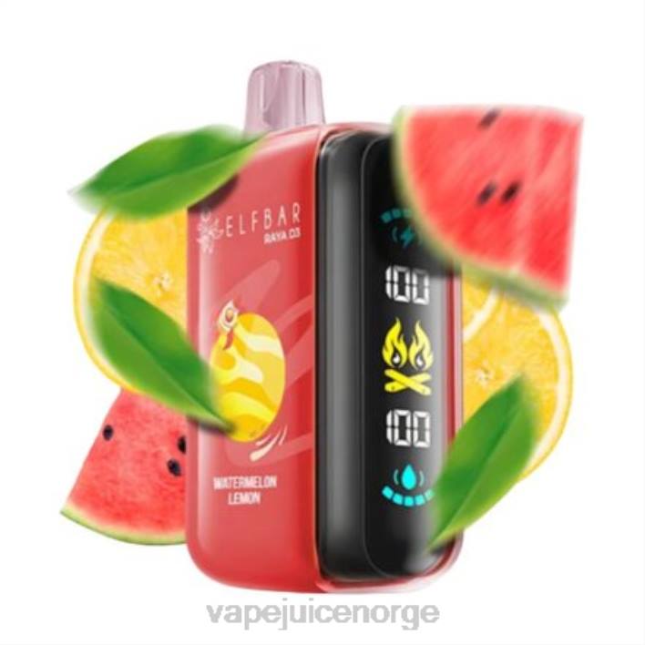Vape Norge 2N0T1 - engangs Elf Bar Raya D3 25 000