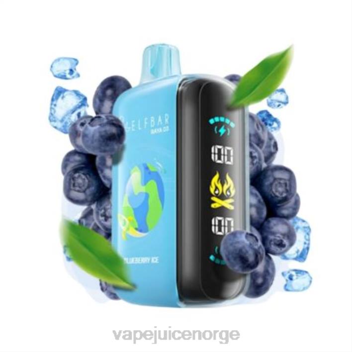 Vape Norge 2N0T1 - engangs Elf Bar Raya D3 25 000