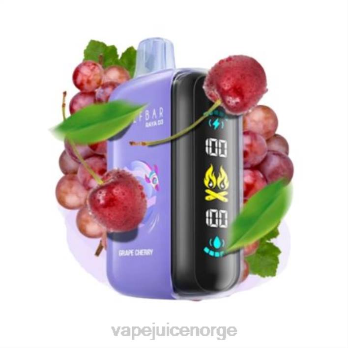 Vape Norge 2N0T1 - engangs Elf Bar Raya D3 25 000