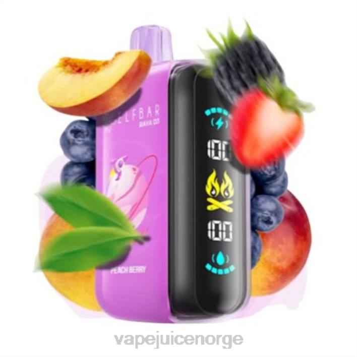 Vape Norge 2N0T1 - engangs Elf Bar Raya D3 25 000