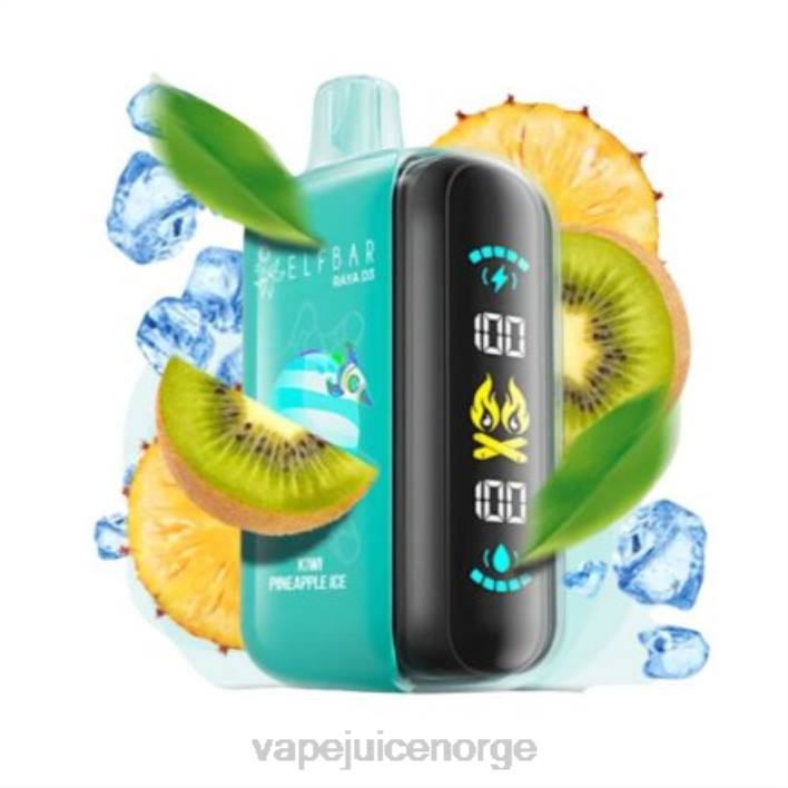 Vape Norge 2N0T1 - engangs Elf Bar Raya D3 25 000