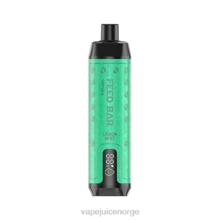 Vapsolo SHISHA engangs vape sitron mynte 8Z8D119 Vape Juice
