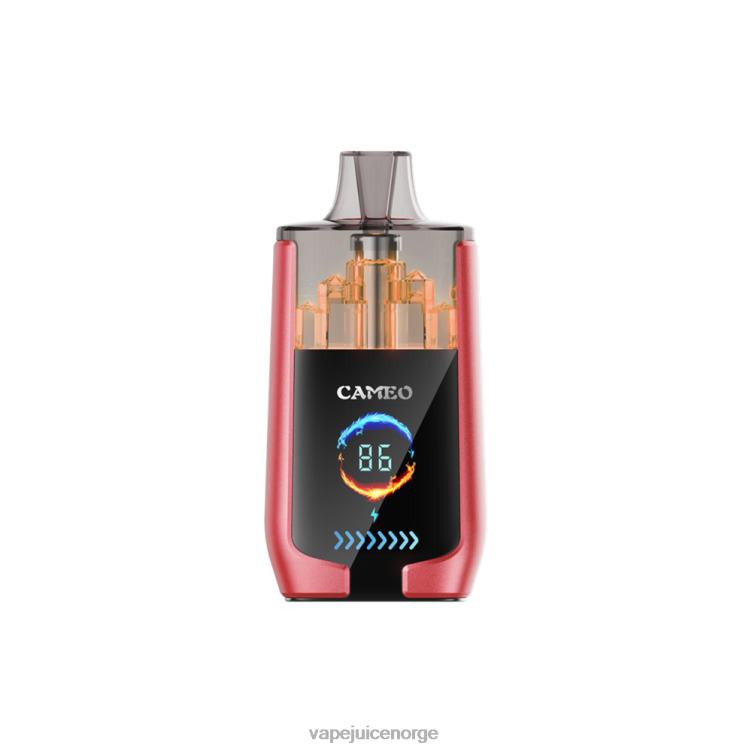 8J2L814 Vape Juice - vannmelon is LAVIE CAMEO 30 000 drag