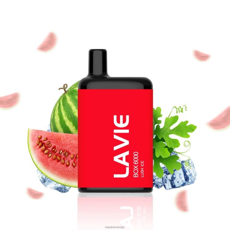 8J2L8199 Vape Norge - frodig is LAVIE BOX 6000 drag
