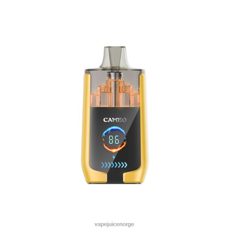 8J2L821 Vape Norge - mango is LAVIE CAMEO 30 000 drag